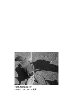 Page 17 of Shikanoko Shikoshiko Ude Panpan