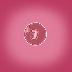 Page 28 of Yumi's Study Abroad/由美的留学生活（汉化）（连载中）