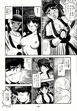 Page 14 of Aimu
