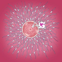 Page 13 of Yumi's Study Abroad/由美的留学生活（汉化）（连载中）