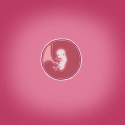 Page 66 of Yumi's Study Abroad/由美的留学生活（汉化）（连载中）