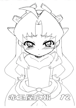 Page 1 of Akadama-ya Kouhou 12