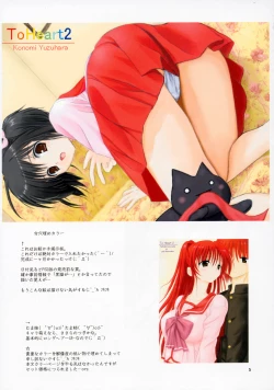 Page 4 of Poulailler 001