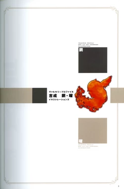 Page 43 of Valkyrie Profile Settings Data Collection_20241021