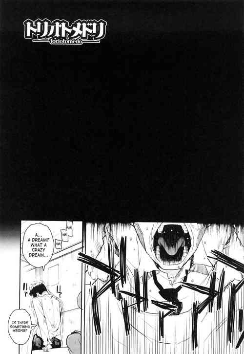 Download Otomedori final (English