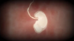 Page 30 of Twitter @siokarub1