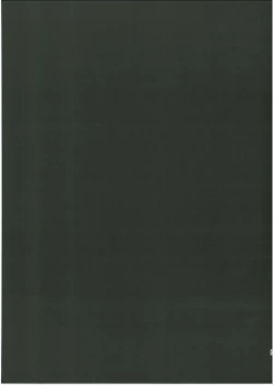 Page 24 of Kuroinu Icha Love Cos Koubi