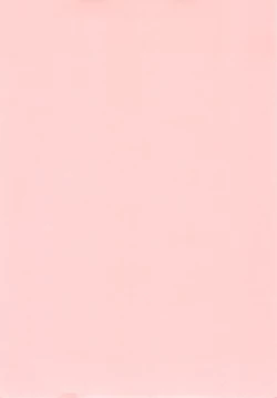 Page 4 of Round Shell Mahou Shoujo Melty Peach