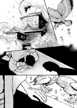 Page 9 of 【Not Peace(小哈哈）】参千萬兩的新嫁娘：貳-浪人索隆與忍者香吉