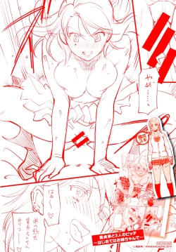 Page 4 of Doutei Otouto to Bitch Ane Toranoana Gentei Leaflet GAL'S ROUGH COLLECTION