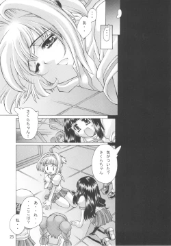 Page 25 of Kagami no Naka no CHERRIES 2nd