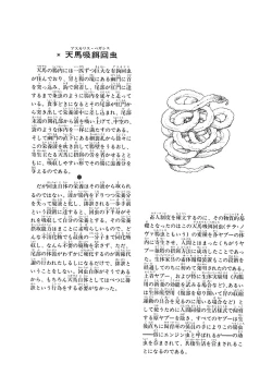 Page 85 of GekIga Yapoo Koufuku 1