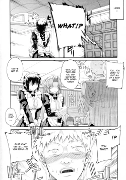 Page 17 of Hito-sama no Maid no Otoshikata Ch. 3