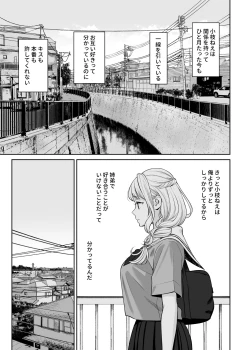 Page 20 of Kyoudai Igai ni Nareta nara
