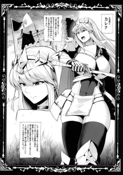 Page 27 of Kokujoku no Merei