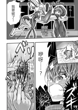 Page 15 of Mahou Shoujo Naisen