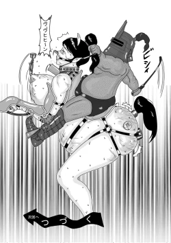 Page 17 of Amazoness Gunba Choukyou