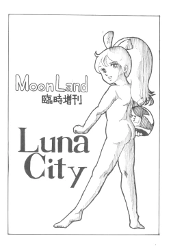 Page 2 of LUNA CITY