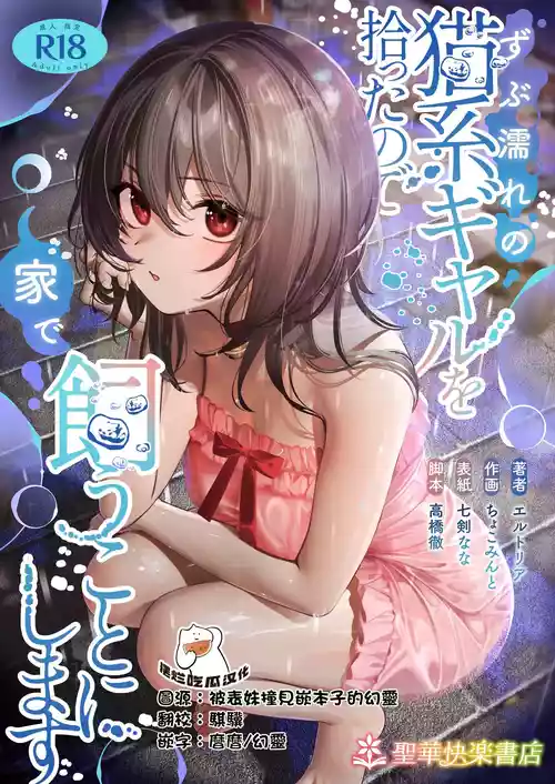 Download Zubunure no Nekokeigyaru o Hirottanode ie de Kaukoto ni Shimasu]