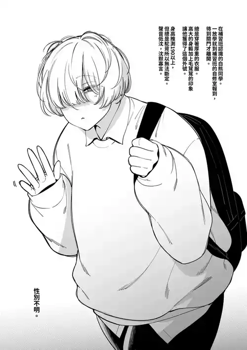 Download 白くまさん