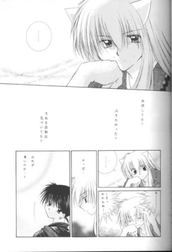 Page 13 of Hoshi No Kakera Kono Te Ni Hitotsu