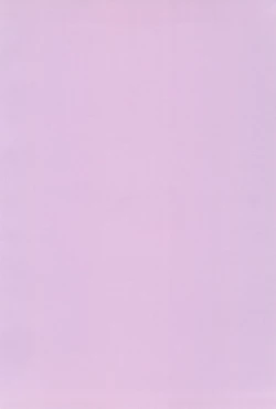 Page 4 of Kocchi Muite, Master!