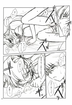 Page 11 of Aliceple DX