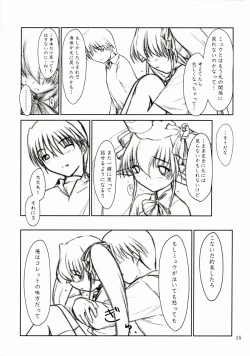 Page 14 of Aliceple DX