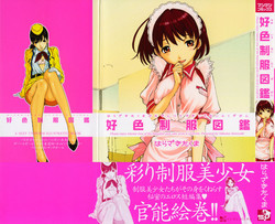 Download Sukiiro Seifuku Zukan