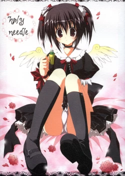 Page 1 of Holy Needle