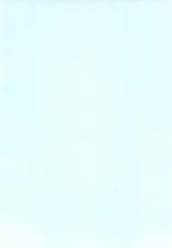 Page 4 of Aimai Biyori