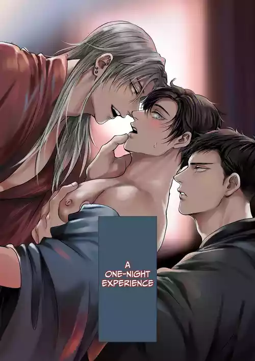 Download A One-Night Experience