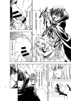 Page 13 of CODE EROSS R2 San