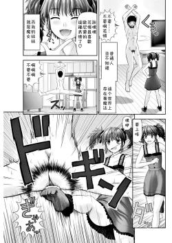 Page 4 of S no Tsukaima