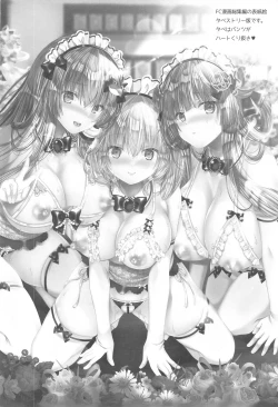 Page 25 of Joushiki Kaihen Youkoso Touhou Kissa e!