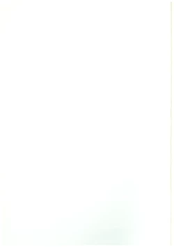 Page 23 of Mikakunin de  Mousou kei