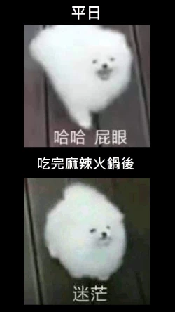 Page 4 of Ranko ga Suki no Ko