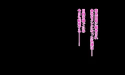 Page 219 of Majime Joushi Komeyama Matome