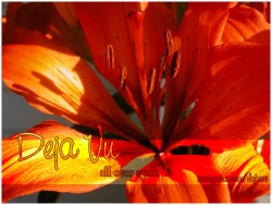 Page 25 of MISSION A-C