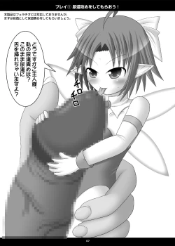 Page 6 of Onaho Yousei Toriatsukai Setsumei-sho