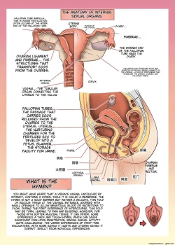 Page 16 of Maid-san to Manabu Onnanoko no Karada