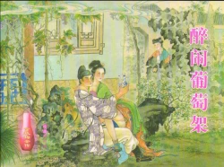 Page 1 of 金瓶梅全传 十二 醉闹葡萄架