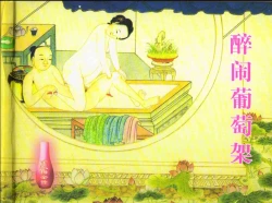 Page 2 of 金瓶梅全传 十二 醉闹葡萄架