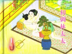 Page 2 of 金瓶梅全传 三十九 初调林太太