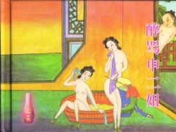 Page 2 of 金瓶梅全传 四十三 醉骂申二姐