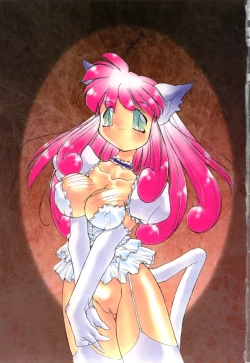 Page 3 of Totsuzen! Cat tale EX