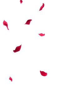 Page 229 of Maguro Maid mo Minna mo Shikotama Ecchi!