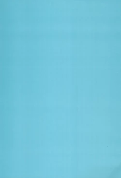 Page 29 of Fukagyaku no Wadachi | 不可逆的车辙