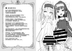 Page 3 of FRASCO | 烧瓶计划