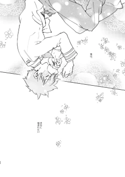 Page 26 of Kimi Collection